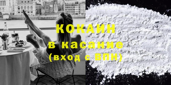 прущие грибы Карталы