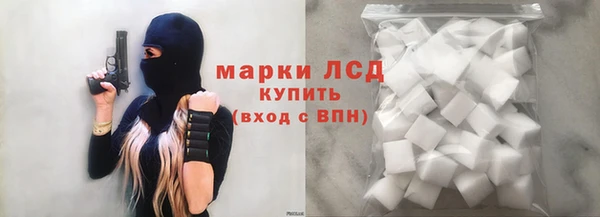 прущие грибы Карталы