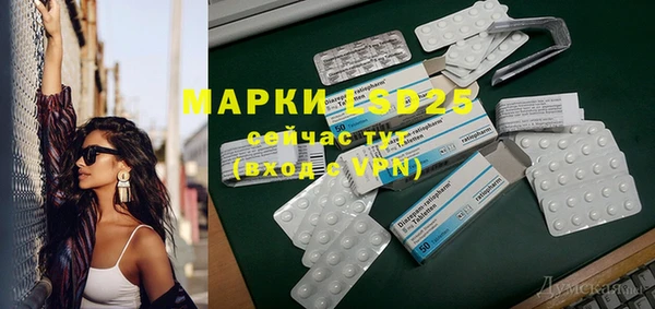 прущие грибы Карталы
