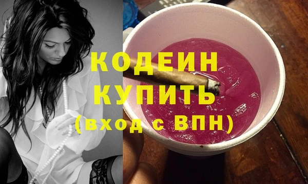 прущие грибы Карталы