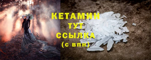 прущие грибы Карталы