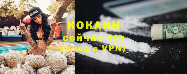 прущие грибы Карталы