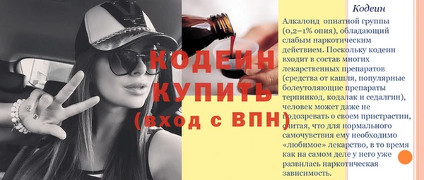 прущие грибы Карталы