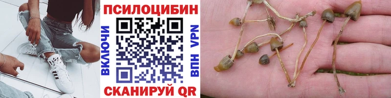 Псилоцибиновые грибы мухоморы  Купить закладки  Ряжск 